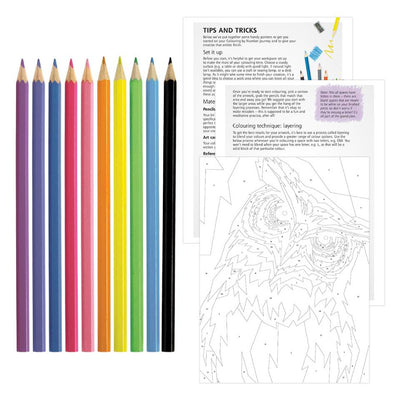 Art Maker Made Simple Colouring By Number Kit: Pop-art Owl