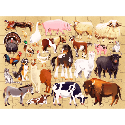 Junior Jigsaw Explore 24 Puzzle: Farm Animals