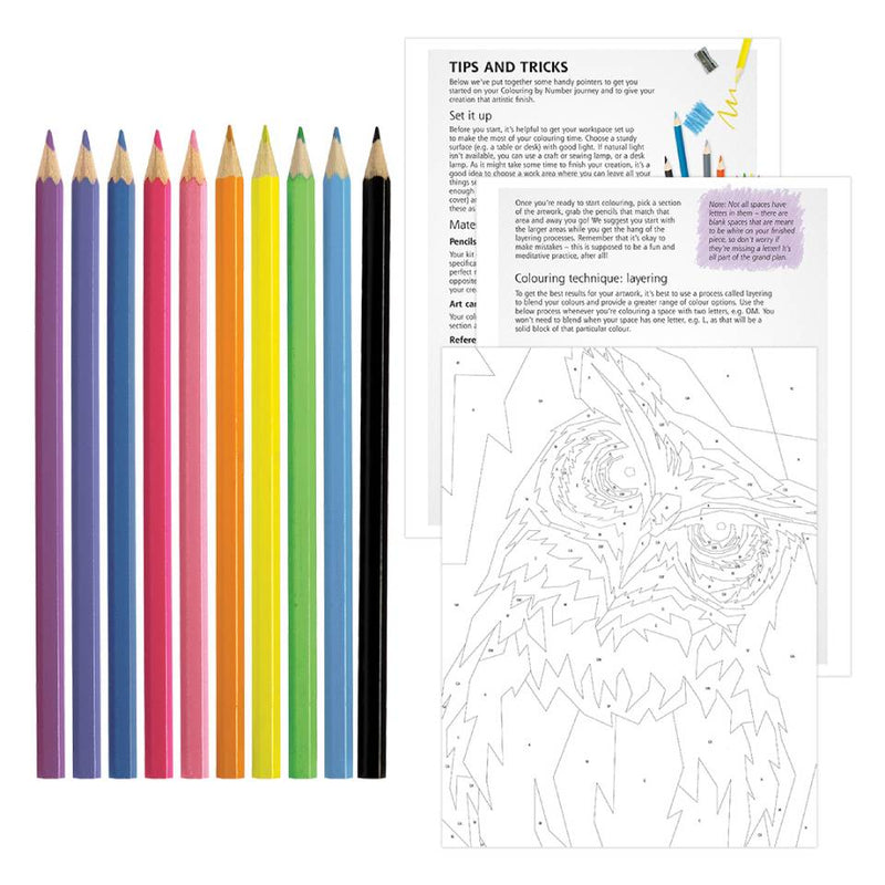 Art Maker Made Simple Colouring By Number Kit: Pop-art Owl