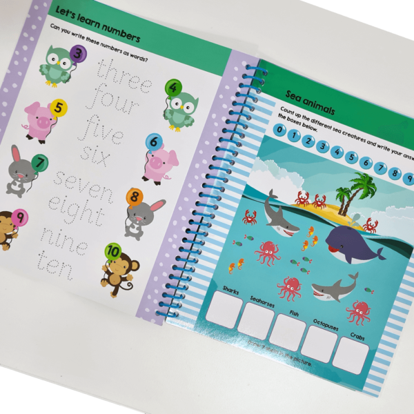 Write It, Wipe It Spiral Book: First Maths