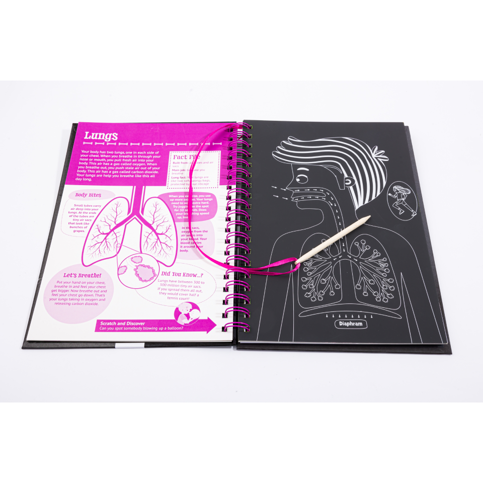 Scratch & Explore Book: Human Body – CuriousUniverse