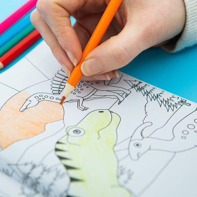 Colour-In Carry Case: Dinosaur Activity Case